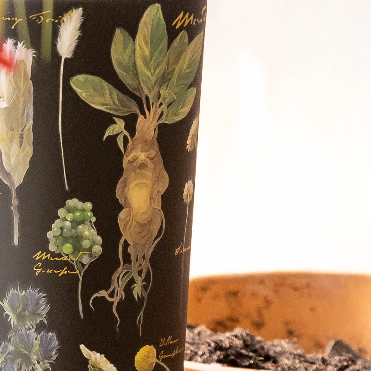 harry-potter-cold-cup-n8 Herbology-3.jpg